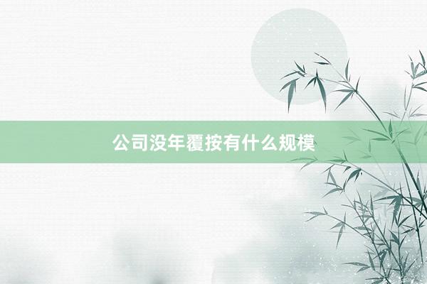 公司没年覆按有什么规模